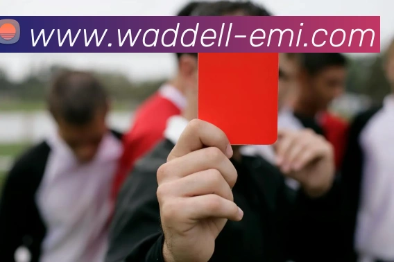 mksports官方商城入口平台生态图