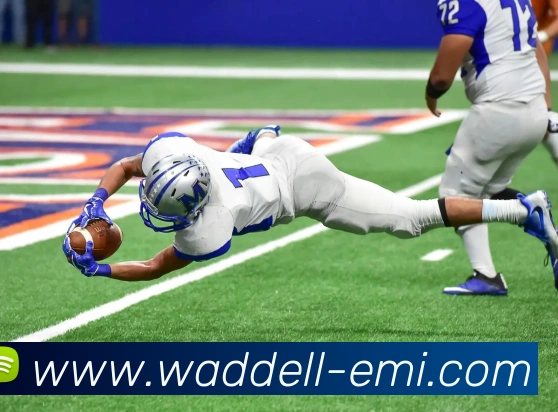 mksports官方商城入口APP 封面图